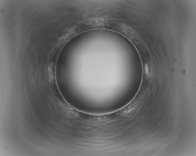 X0000080771203200612151426