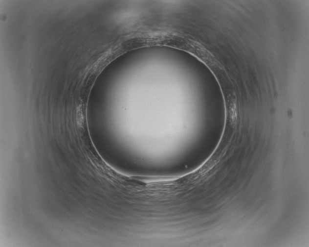 X0000080771204200612151426
