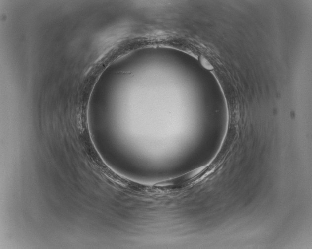 X0000080771205200612151426