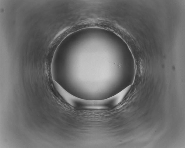 X0000080771206200612151426
