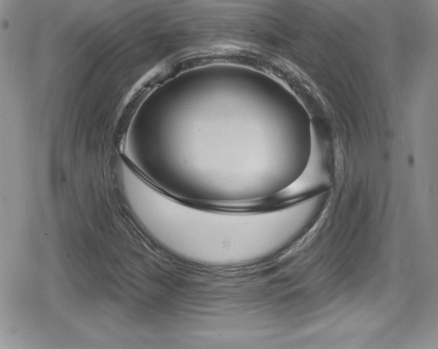 X0000080771210200612151426