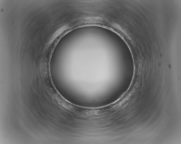 X0000080771211200612151426