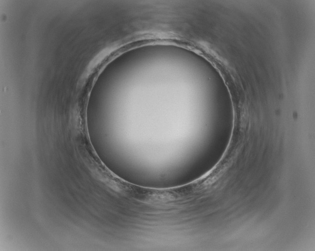 X0000080771215200612151426