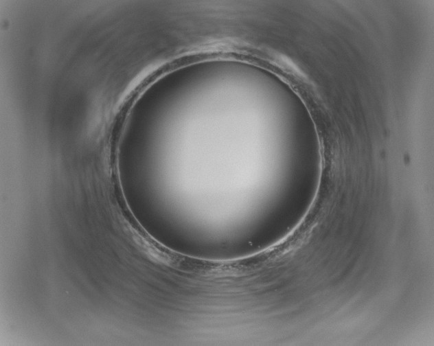 X0000080771216200612151426