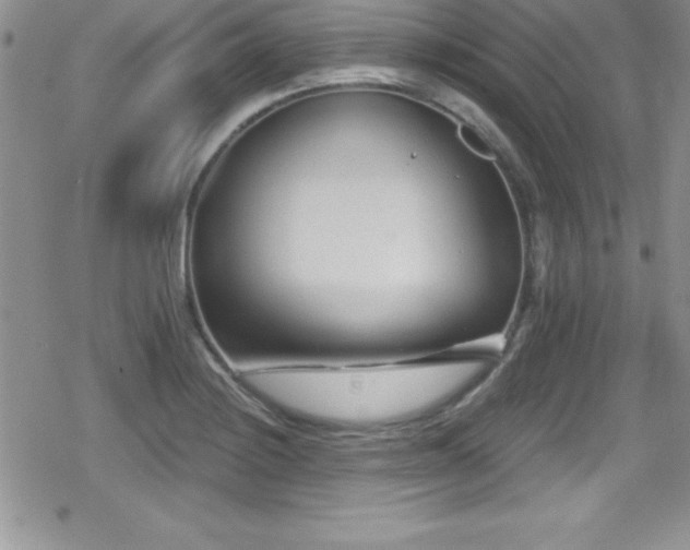 X0000080771228200612151426