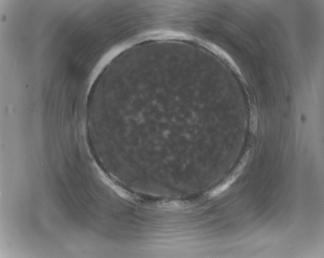 X0000080771231200612151426