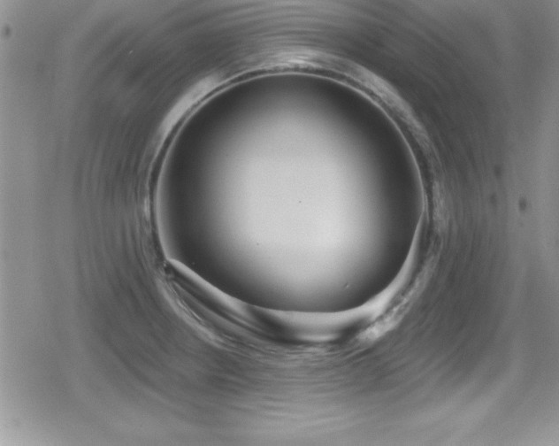 X0000080771234200612151426