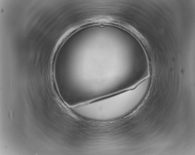 X0000080771240200612151426