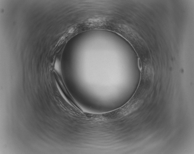 X0000080771250200612151426