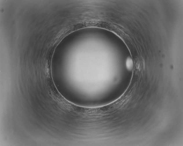 X0000080771252200612151426