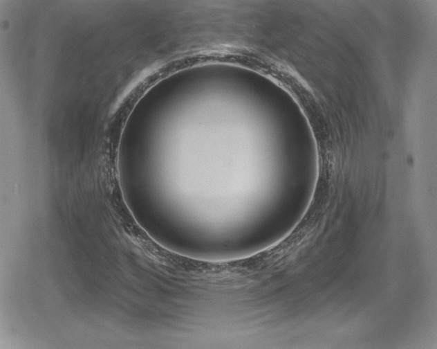 X0000080771256200612151426