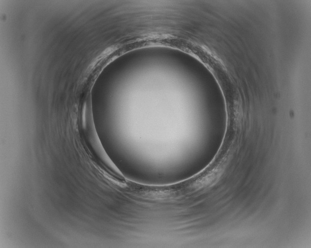 X0000080771257200612151426
