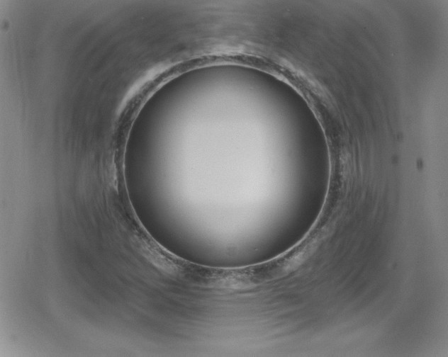 X0000080771262200612151426