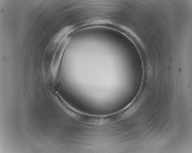 X0000080771273200612151425