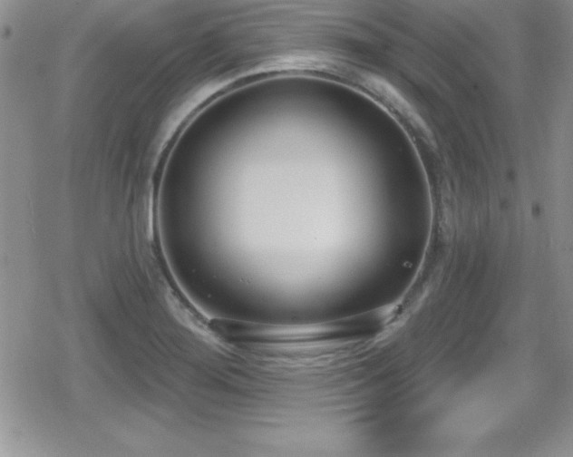 X0000080771276200612151425