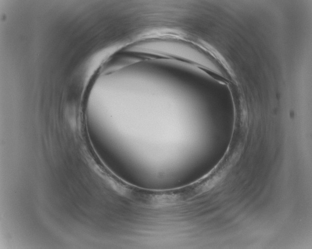 X0000080771277200612151425