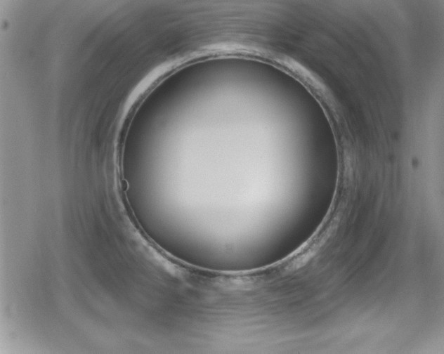 X0000080771286200612151425