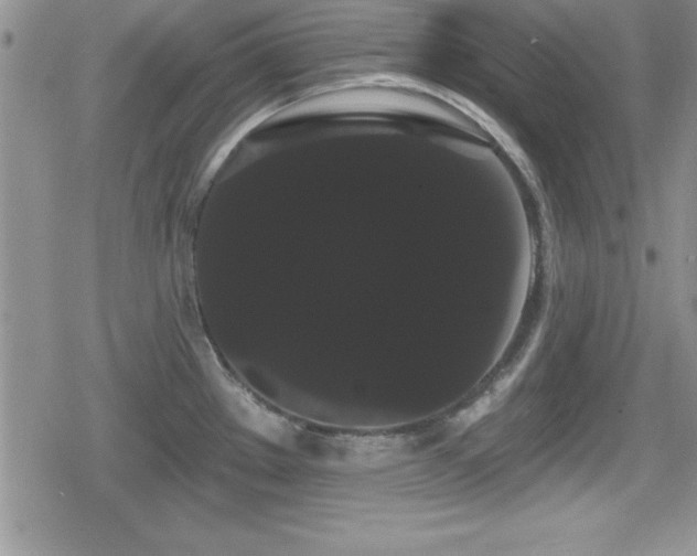 X0000080771289200612151425