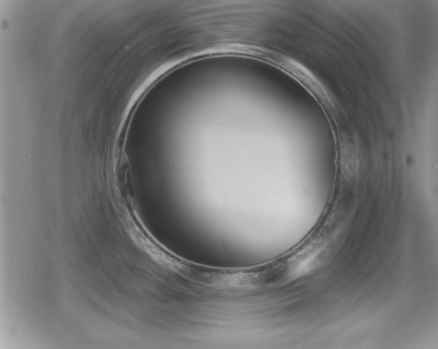 X0000080771292200612151425