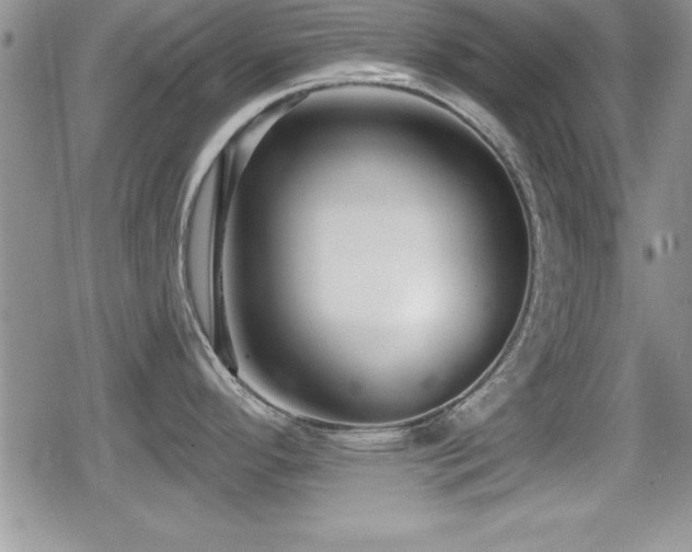 X0000080771296200612151425