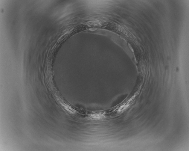 X0000080771297200612151424