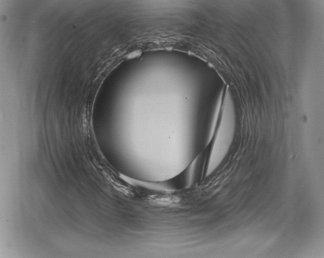 X0000080771298200612151424