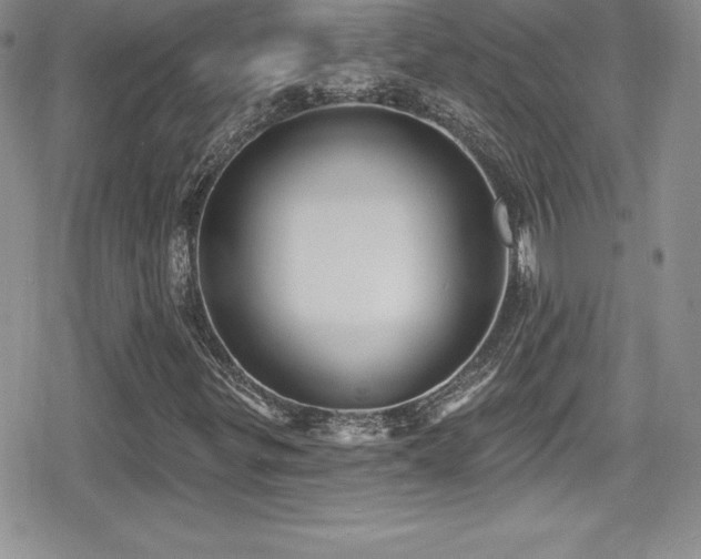 X0000080771299200612151424