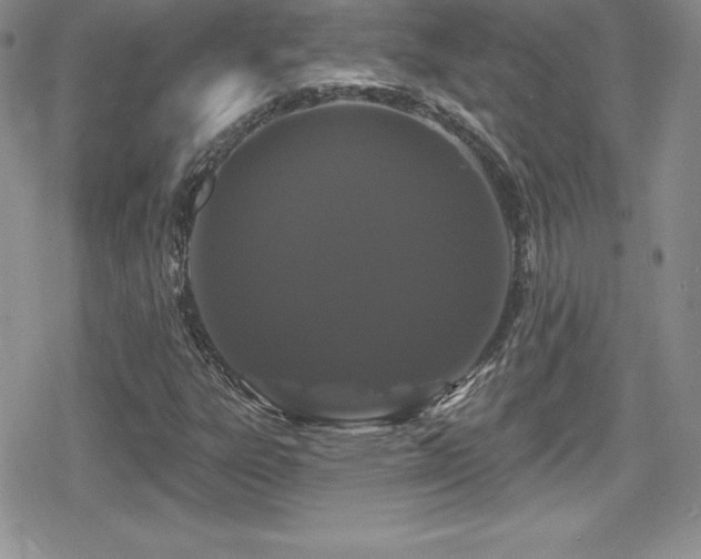 X0000080771303200612151424