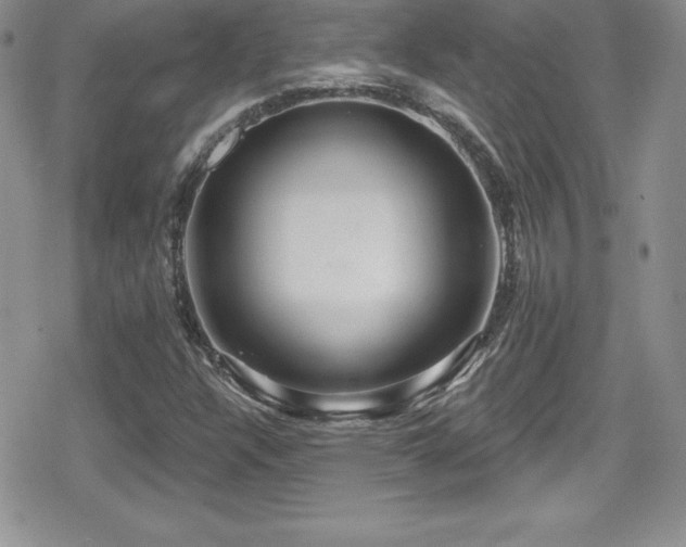 X0000080771304200612151424