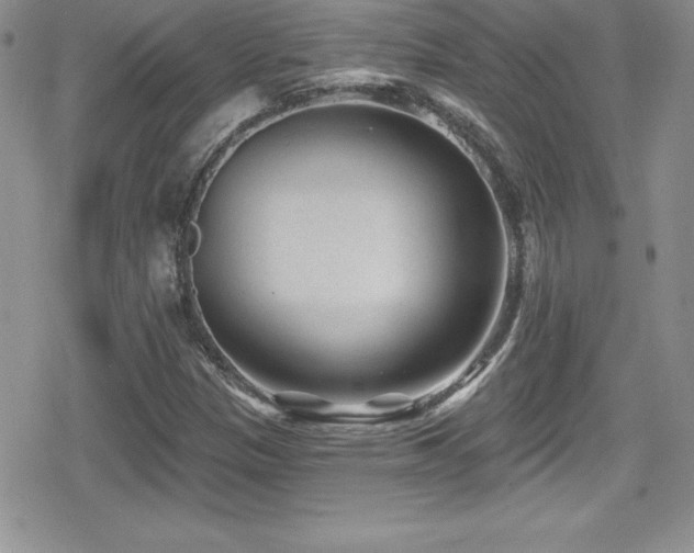 X0000080771305200612151424