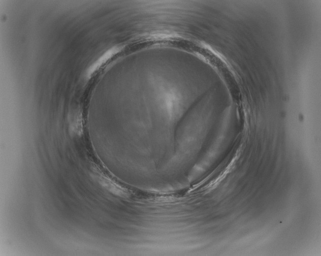 X0000080771306200612151424