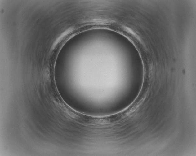 X0000080771307200612151424