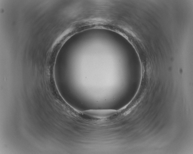 X0000080771309200612151424