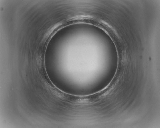 X0000080771313200612151424