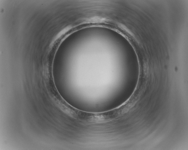 X0000080771315200612151424