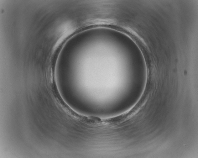 X0000080771317200612151425