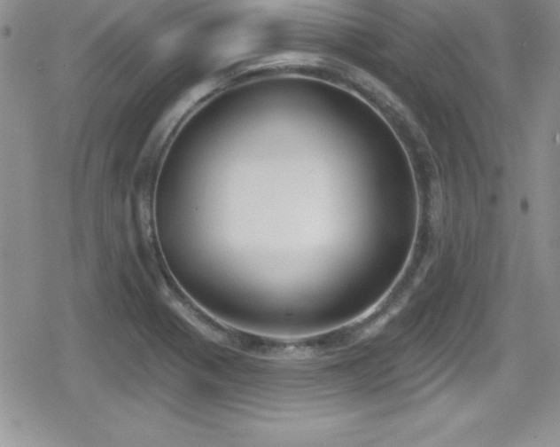 X0000080771321200612151425