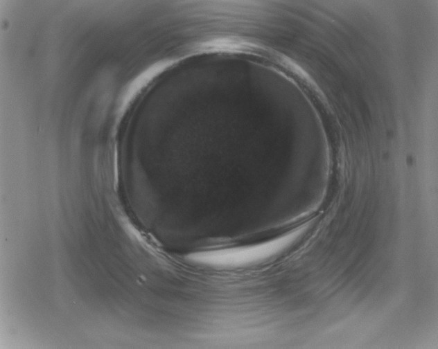 X0000080771323200612151425