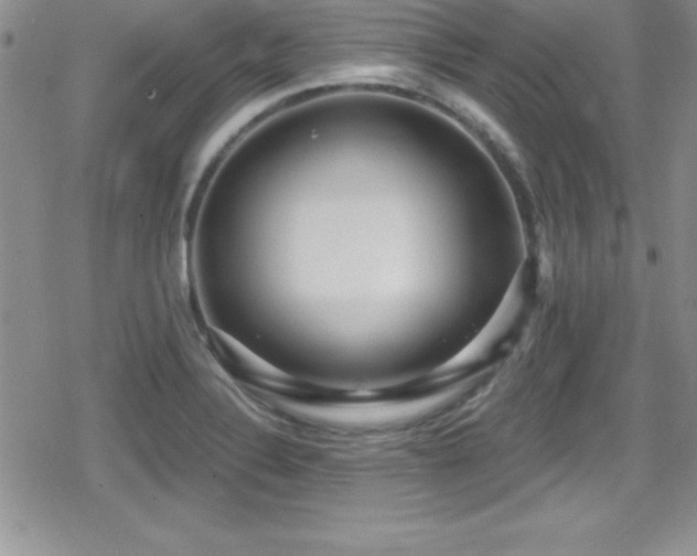 X0000080771324200612151425