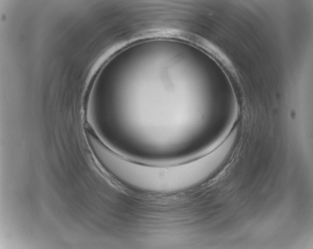 X0000080771332200612151425