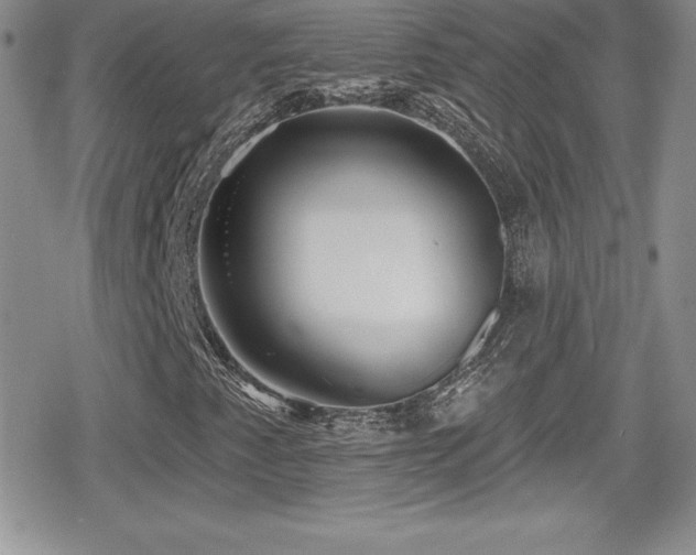X0000080771345200612151424