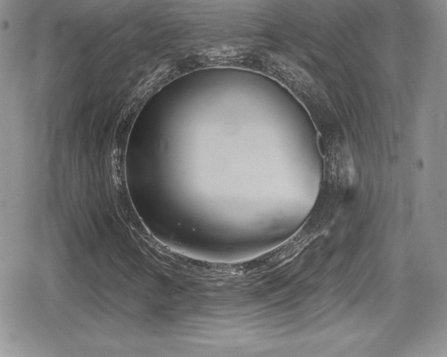 X0000080771346200612151424
