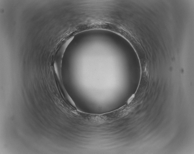 X0000080771348200612151424