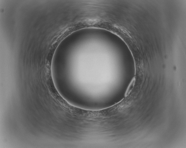 X0000080771349200612151424