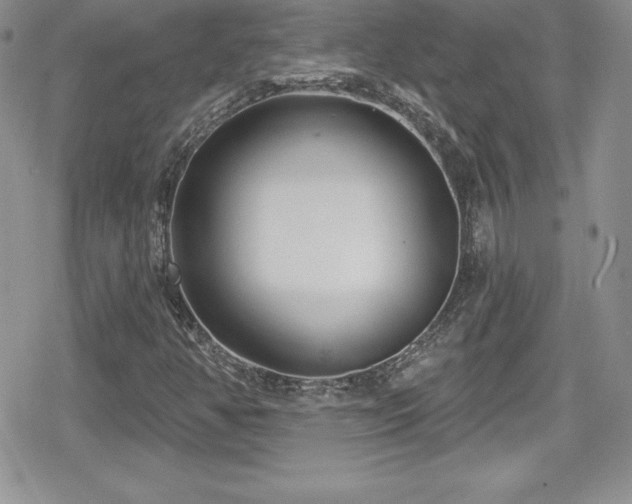 X0000080771350200612151424