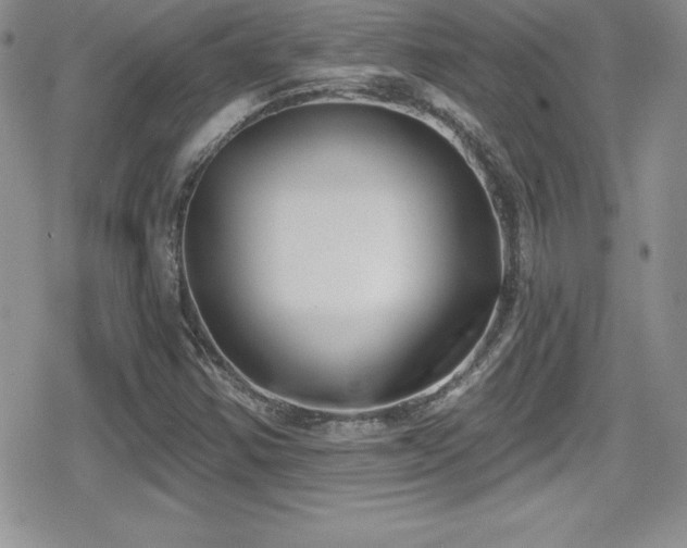 X0000080771354200612151424