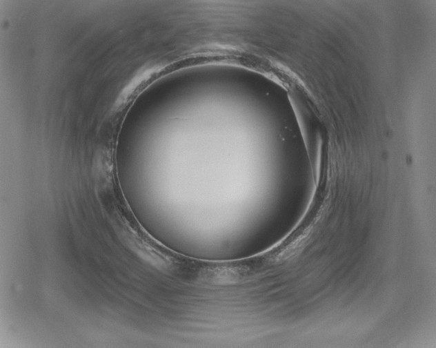 X0000080771355200612151424