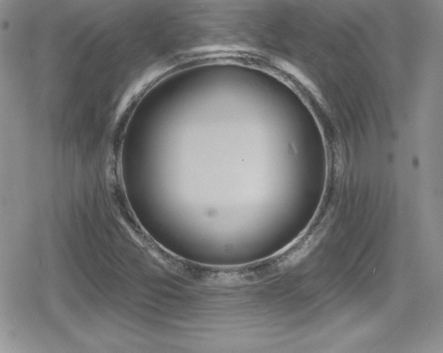 X0000080771357200612151424