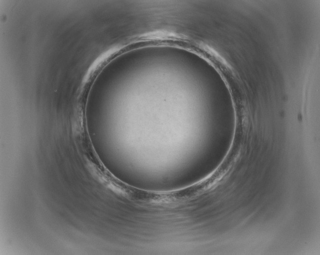 X0000080771358200612151424