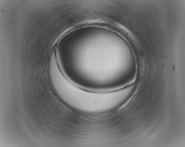 X0000080771361200612151424